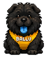 Ballu, a black Chow Chow puppy in a gold harness
